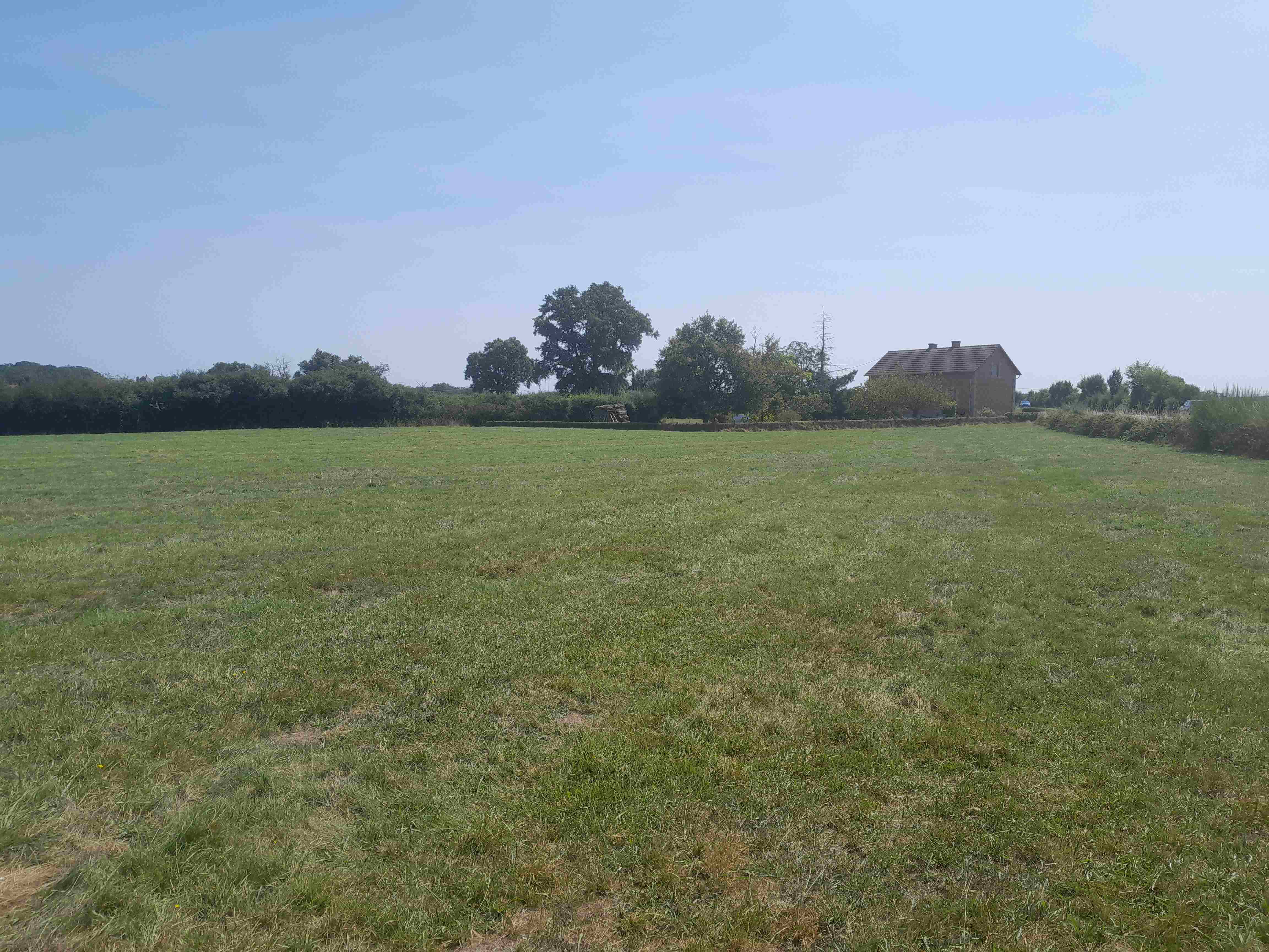 YZEURE - BOISEMENT DE TERRE AGRICOLE OU FRICHE