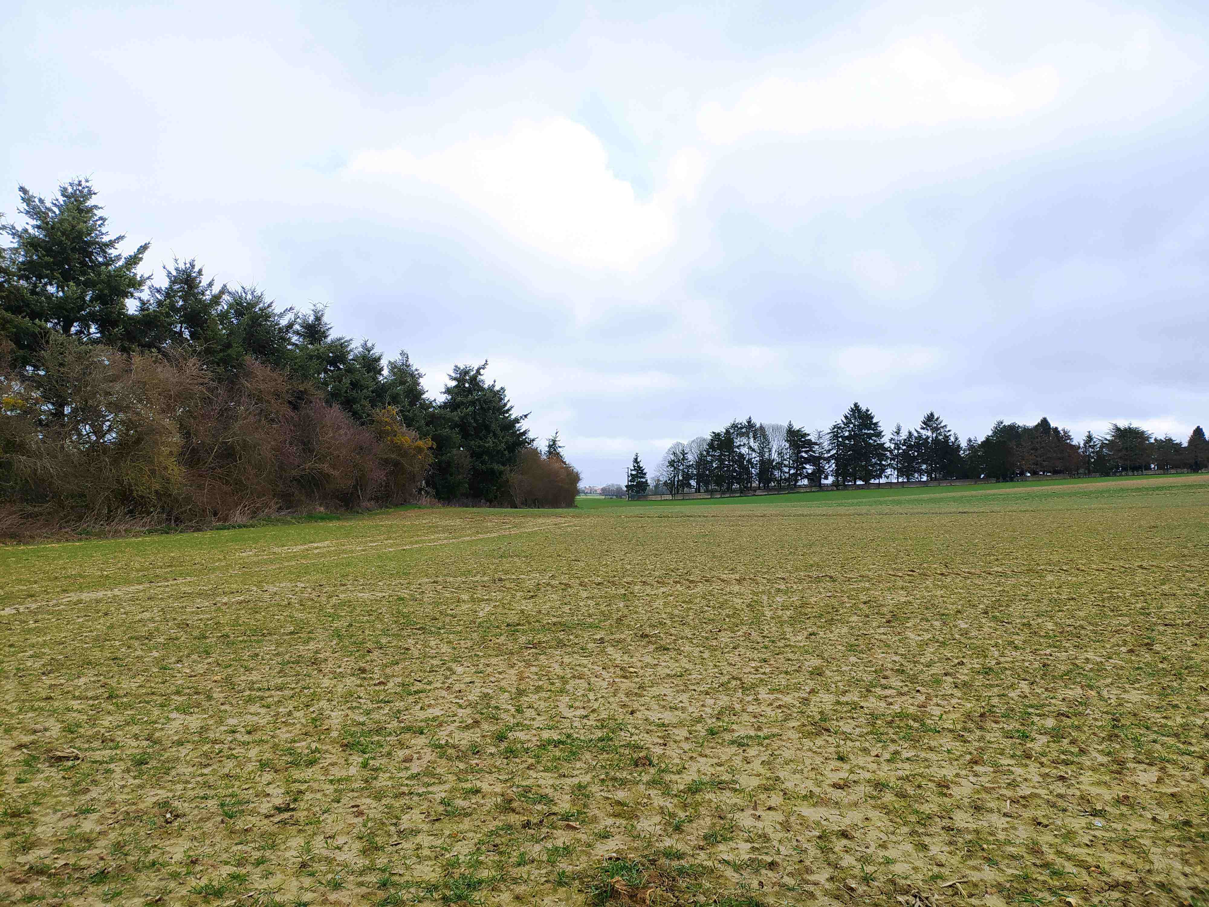 BROU - BOISEMENT DE TERRE AGRICOLE OU FRICHE