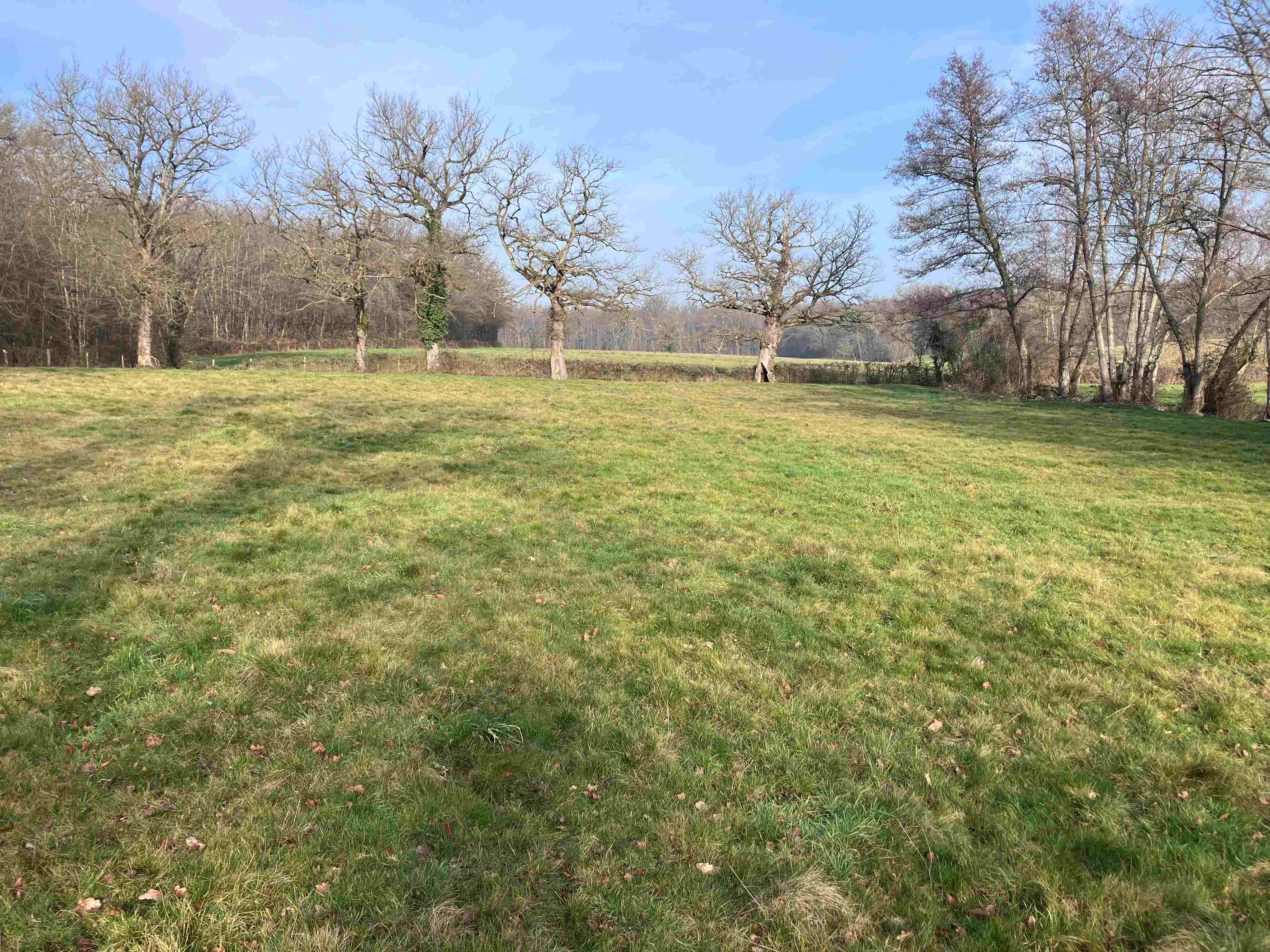 SYLVO/UNISYLVA-N°21-Saligny sur Roudon (03)