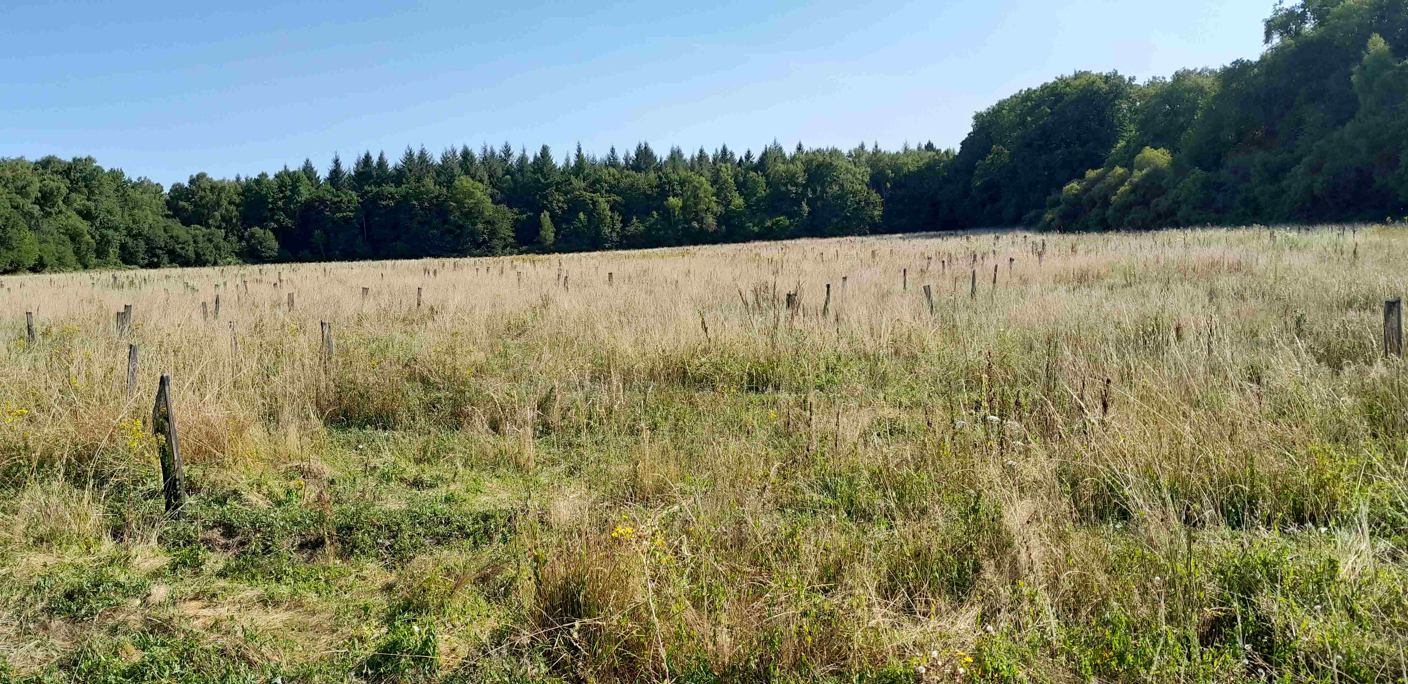 SYLVO/UNISYLVA-N°10-Limoges (87)