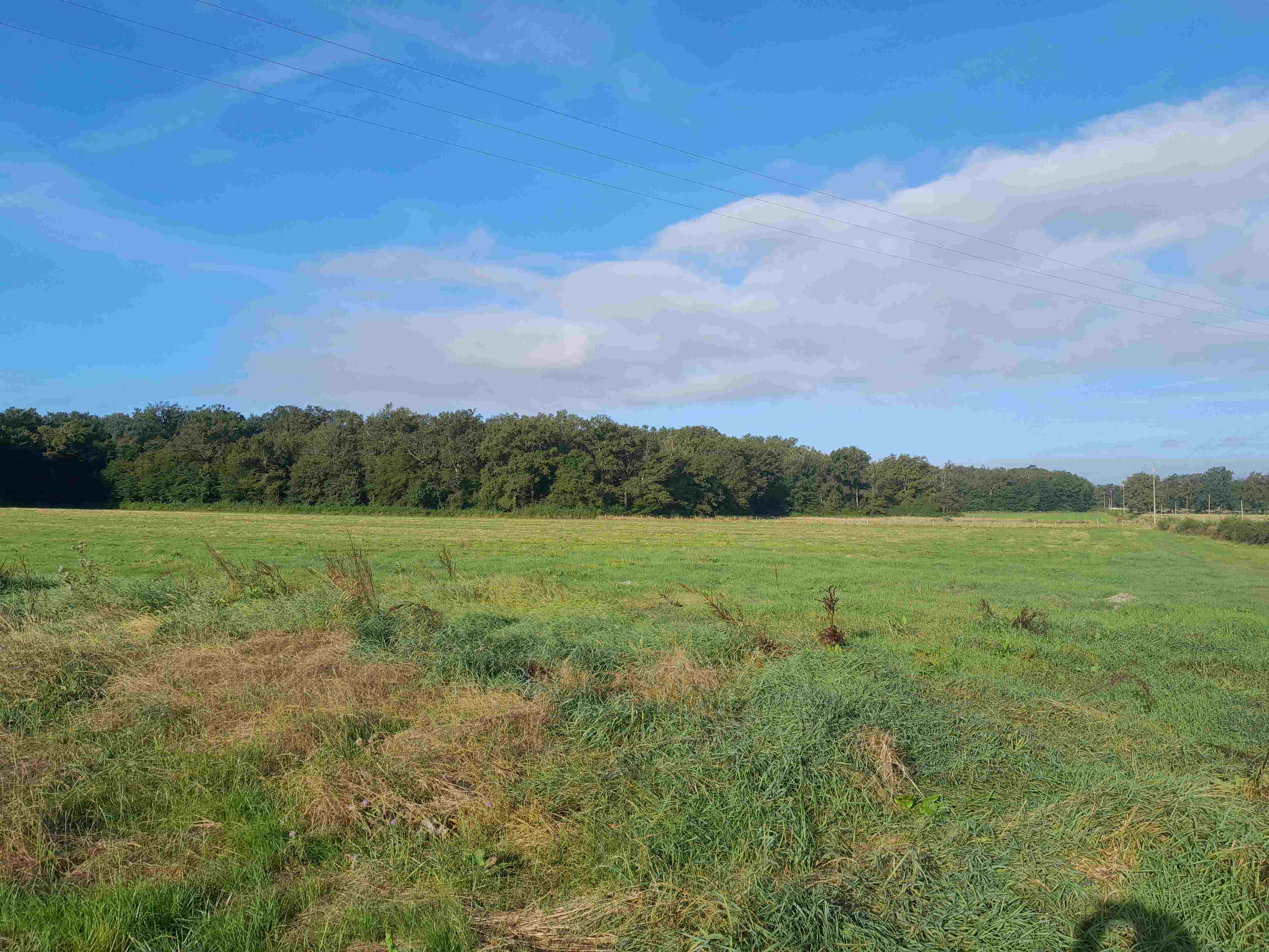 SYLVO/UNISYLVA-N°20-Chézy (03)