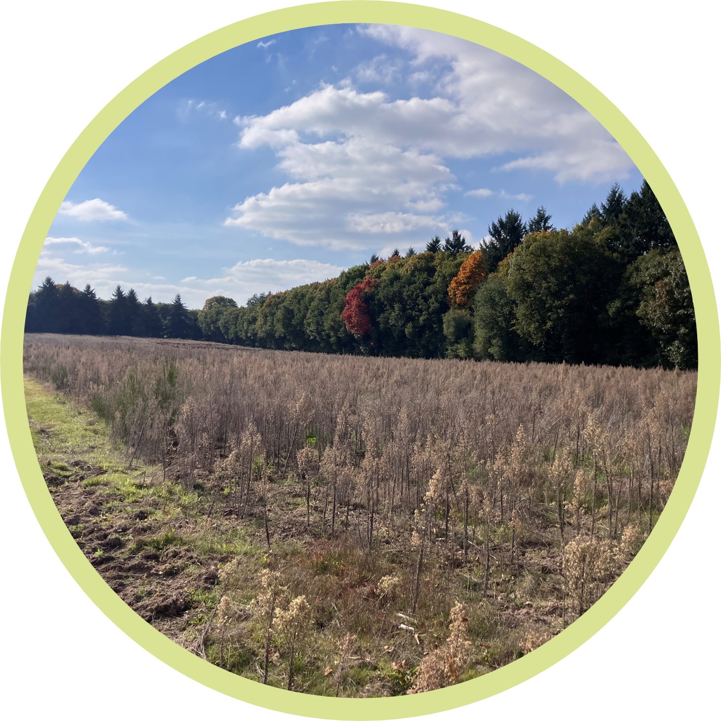 SYLVO/UNISYLVA-N°28-Aubigny sur Nère (18700)