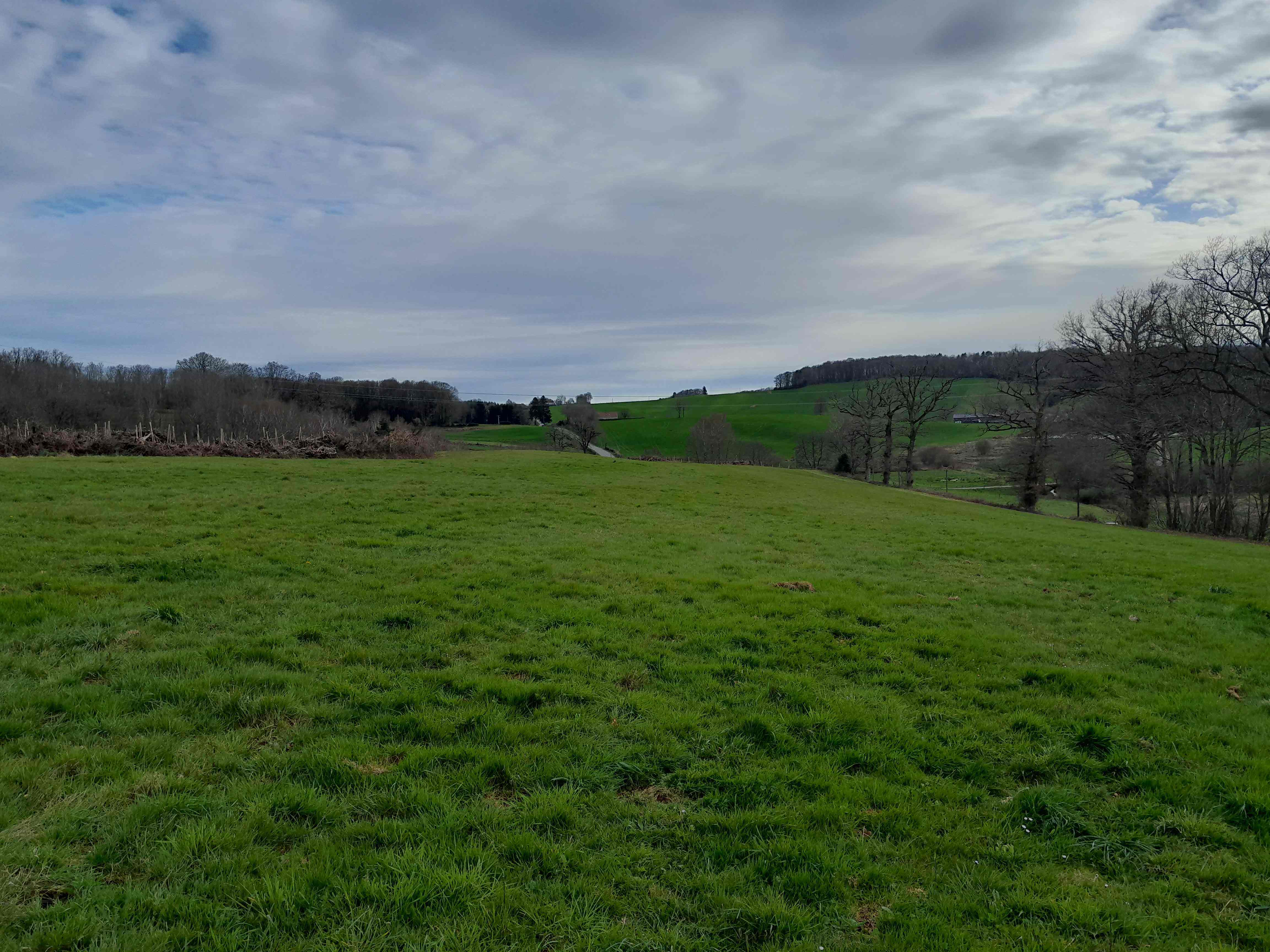 SYLVO/UNISYLVA-N°24-Saint-Mamet-la-Salvetat (15220)